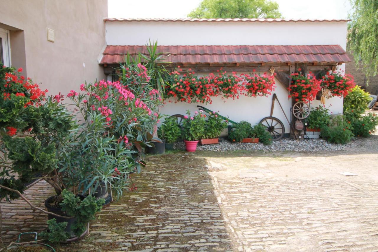 La Chambre Aux Hirondelles Ittenheim Kültér fotó